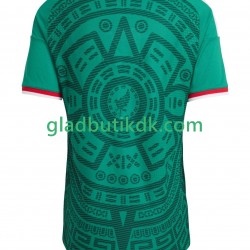 Hjemmebane Trøje Mexico World Cup 2026 K/Æ Mænd
