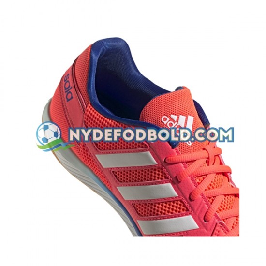 Lyserød Blå Hvid Fodboldstøvler Adidas Classic Top Sala IN Halle