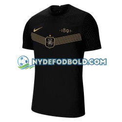 Hjemmebane Trøje AIK 130th Anniversary 2021 K/Æ Mænd