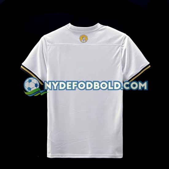 Hjemmebane Trøje AIK Special 2023 K/Æ Mænd