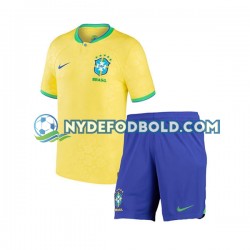 Hjemmebane Trøje Brasilien World Cup 2022 K/Æ Børn(+Shorts)