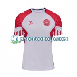 Udebane Trøje Danmark 2023 K/Æ Mænd