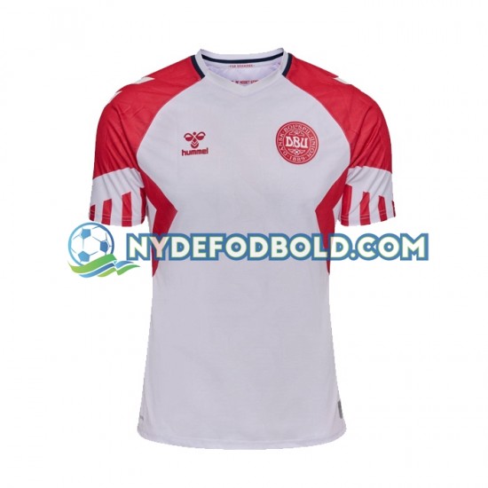 Udebane Trøje Danmark 2023 K/Æ Mænd