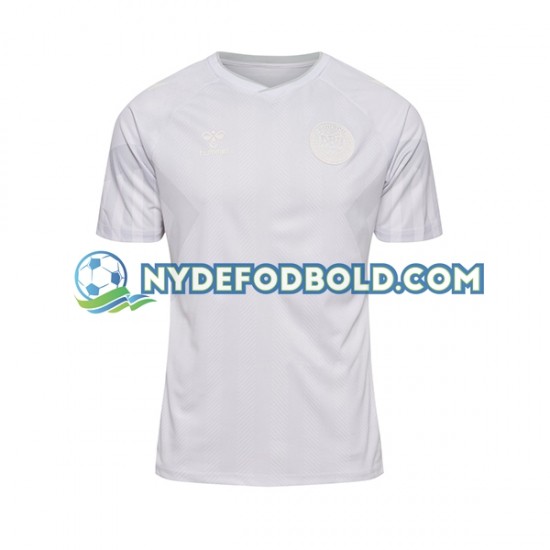 Udebane Trøje Danmark World Cup 2022 K/Æ Mænd
