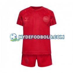 Hjemmebane Trøje Danmark World Cup 2022 K/Æ Børn(+Shorts)