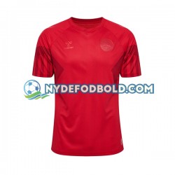 Hjemmebane Trøje Danmark World Cup 2022 K/Æ Mænd