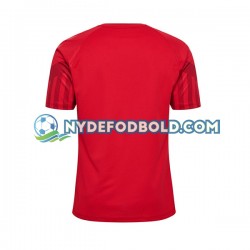 Hjemmebane Trøje Danmark World Cup 2022 K/Æ Mænd