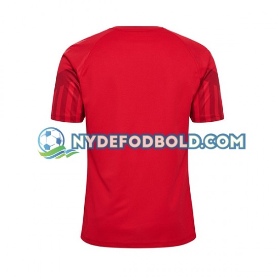 Hjemmebane Trøje Danmark World Cup 2022 K/Æ Mænd