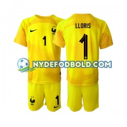 3. Valg Trøje Frankrig Målmand Hugo Lloris 1 World Cup 2022 K/Æ Børn(+Shorts)