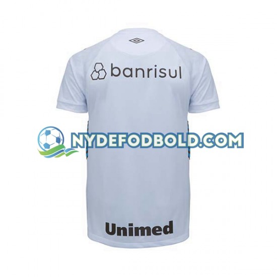 Udebane Trøje Gremio 2023-2024 K/Æ Mænd