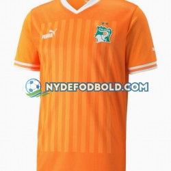 Hjemmebane Trøje Elfenbenskysten 2022 K/Æ Mænd