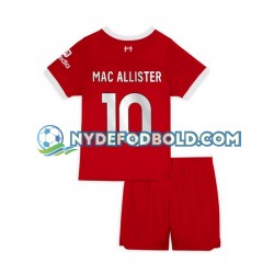 Hjemmebane Trøje Liverpool Alexis Mac Allister 10 2023-2024 K/Æ Børn(+Shorts)