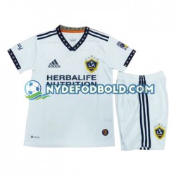 Hjemmebane Trøje Los Angeles Galaxy 2022-2023 K/Æ Børn(+Shorts)