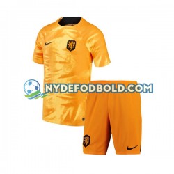 Hjemmebane Trøje Holland World Cup 2022 K/Æ Børn(+Shorts)