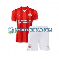 Hjemmebane Trøje PSV Eindhoven 2023-2024 K/Æ Børn(+Shorts)