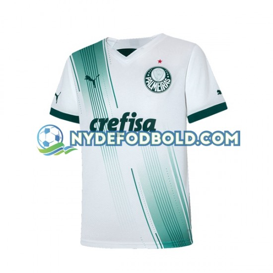 Udebane Trøje Palmeiras 2023-2024 K/Æ Mænd