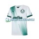 Udebane Trøje Palmeiras 2023-2024 K/Æ Mænd