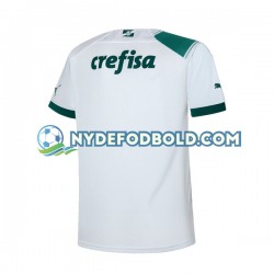 Udebane Trøje Palmeiras 2023-2024 K/Æ Mænd