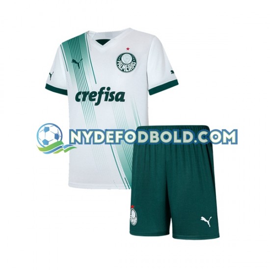 Udebane Trøje Palmeiras 2023-2024 K/Æ Børn(+Shorts)