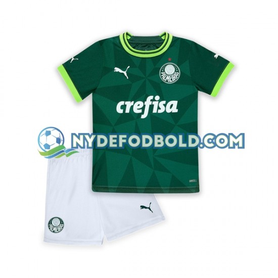 Hjemmebane Trøje Palmeiras 2023-2024 K/Æ Børn(+Shorts)