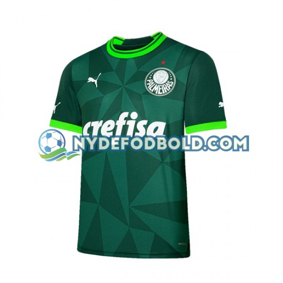 Hjemmebane Trøje Palmeiras 2023-2024 K/Æ Mænd