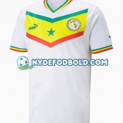 Hjemmebane Trøje Senegal World Cup 2022 K/Æ Mænd