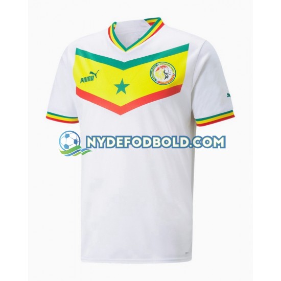 Hjemmebane Trøje Senegal World Cup 2022 K/Æ Mænd