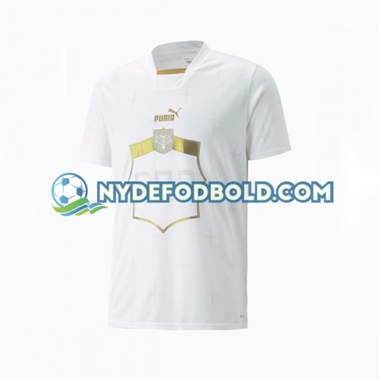 Udebane Trøje Serbien World Cup 2022 K/Æ Mænd