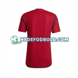 Hjemmebane Trøje Spanien World Cup 2022 K/Æ Mænd