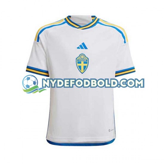 Udebane Trøje Sverige 2022 K/Æ Mænd