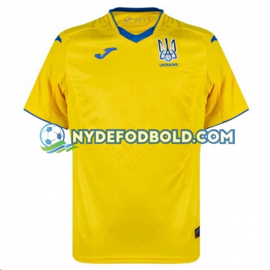 Hjemmebane Trøje Ukraine 2020-2021 K/Æ Mænd
