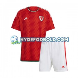 Hjemmebane Trøje Wales World Cup 2022 K/Æ Børn(+Shorts)