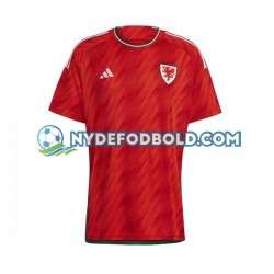 Hjemmebane Trøje Wales World Cup 2022 K/Æ Mænd