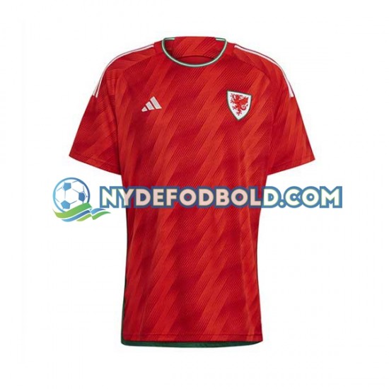 Hjemmebane Trøje Wales World Cup 2022 K/Æ Mænd