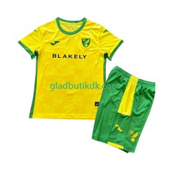 Hjemmebane Trøje Norwich City 2024-2025 K/Æ Børn(+Shorts)