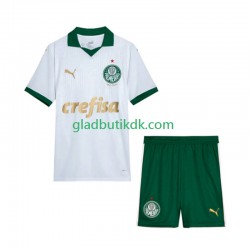 Udebane Trøje Palmeiras 2024 K/Æ Børn(+Shorts)