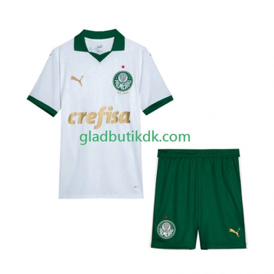 Udebane Trøje Palmeiras 2024 K/Æ Børn(+Shorts)