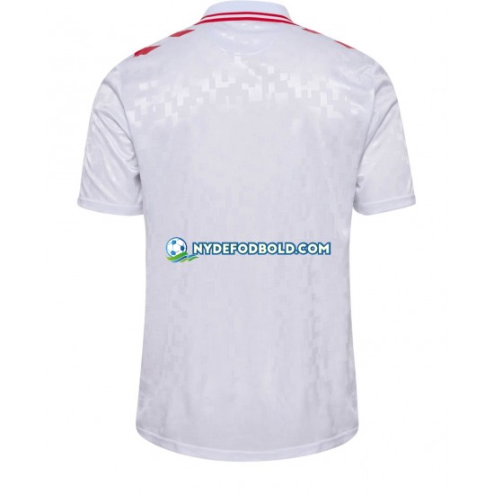 Udebane Trøje Danmark Euro 2024 K/Æ Mænd