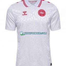 Udebane Trøje Danmark Euro 2024 K/Æ Mænd