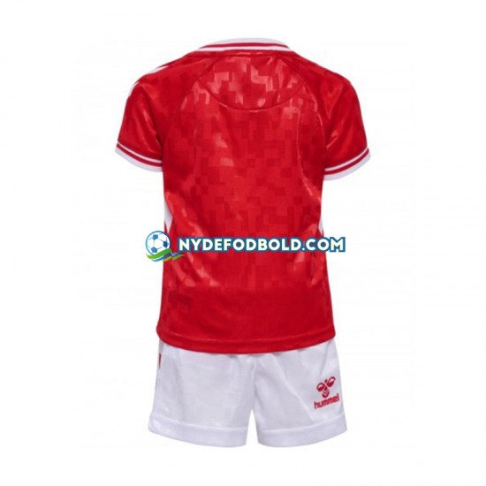 Hjemmebane Trøje Danmark Rød Euro 2024 K/Æ Børn(+Shorts)