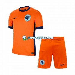 Hjemmebane Trøje Holland Euro 2024 K/Æ Børn(+Shorts)