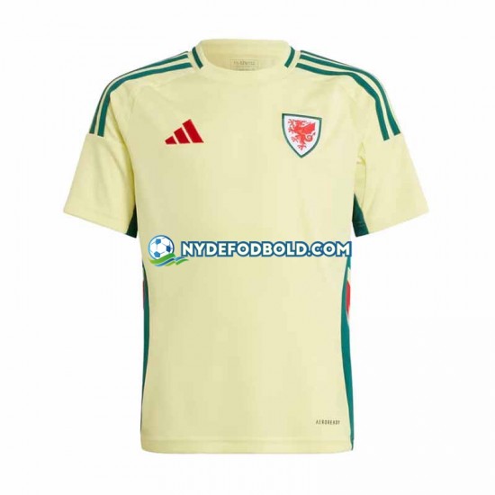 Udebane Trøje Wales 2024 K/Æ Mænd
