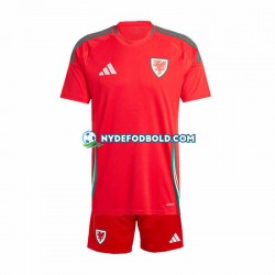 Hjemmebane Trøje Wales Rød 2024 K/Æ Børn(+Shorts)