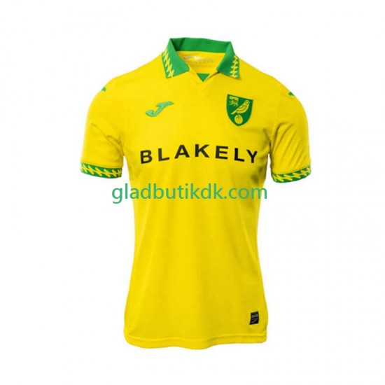 Hjemmebane Trøje Norwich City 2025-2026 K/Æ Mænd