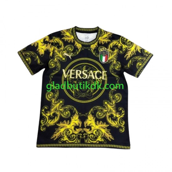 Trøje Italien Special 2024 K/Æ Mænd