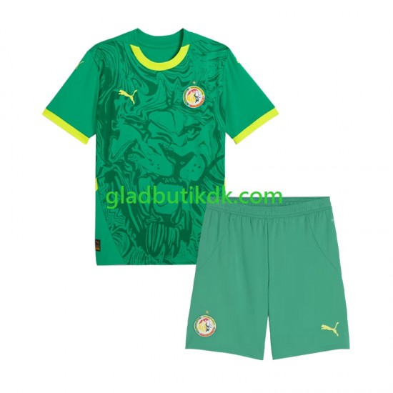 Udebane Trøje Senegal 2025 K/Æ Børn(+Shorts)