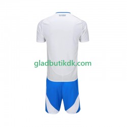 Udebane Trøje Cruzeiro 2025-2026 K/Æ Børn(+Shorts)